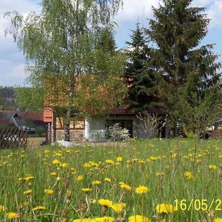 Vila Ferienhaus Harz Allrode Exteriér fotografie