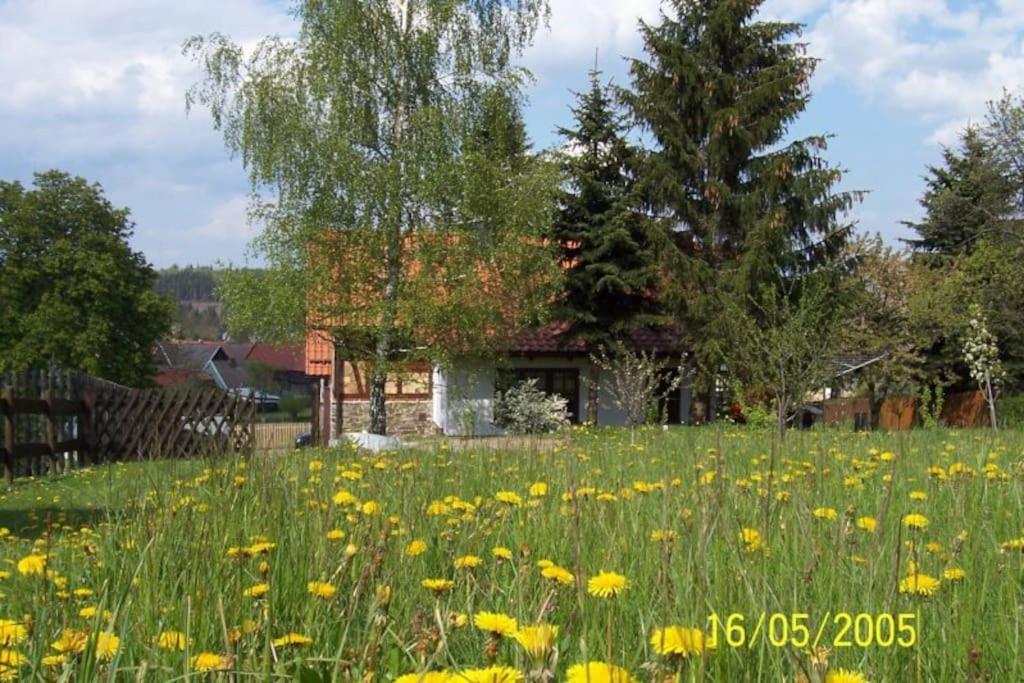 Vila Ferienhaus Harz Allrode Exteriér fotografie