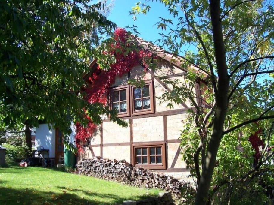 Vila Ferienhaus Harz Allrode Exteriér fotografie