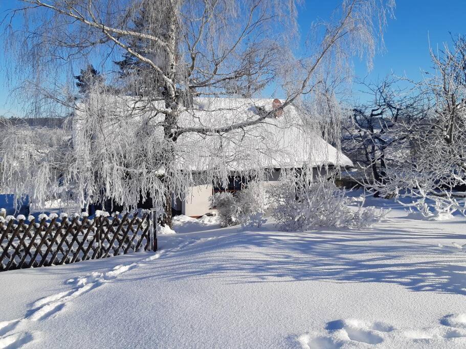 Vila Ferienhaus Harz Allrode Exteriér fotografie