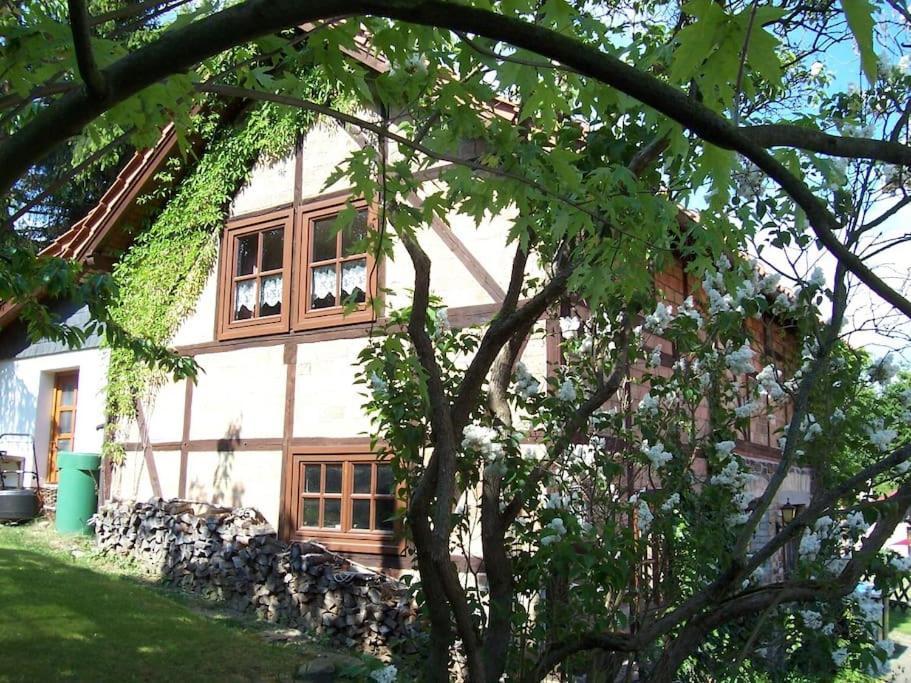 Vila Ferienhaus Harz Allrode Exteriér fotografie